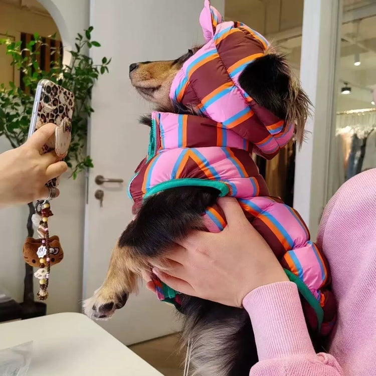 Pet Clothes
