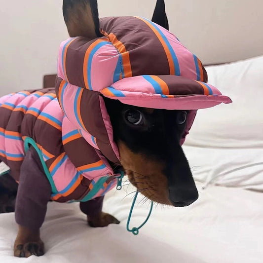 Colorblock Puffy Dog Jacket with Hood | Winter Dog Coat for Small & Medium Pet